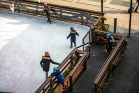 Ice-Skating at Your Backyard: How to Renovate?
